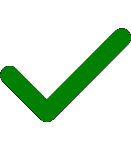 AnyConv.com__check-solid check solid