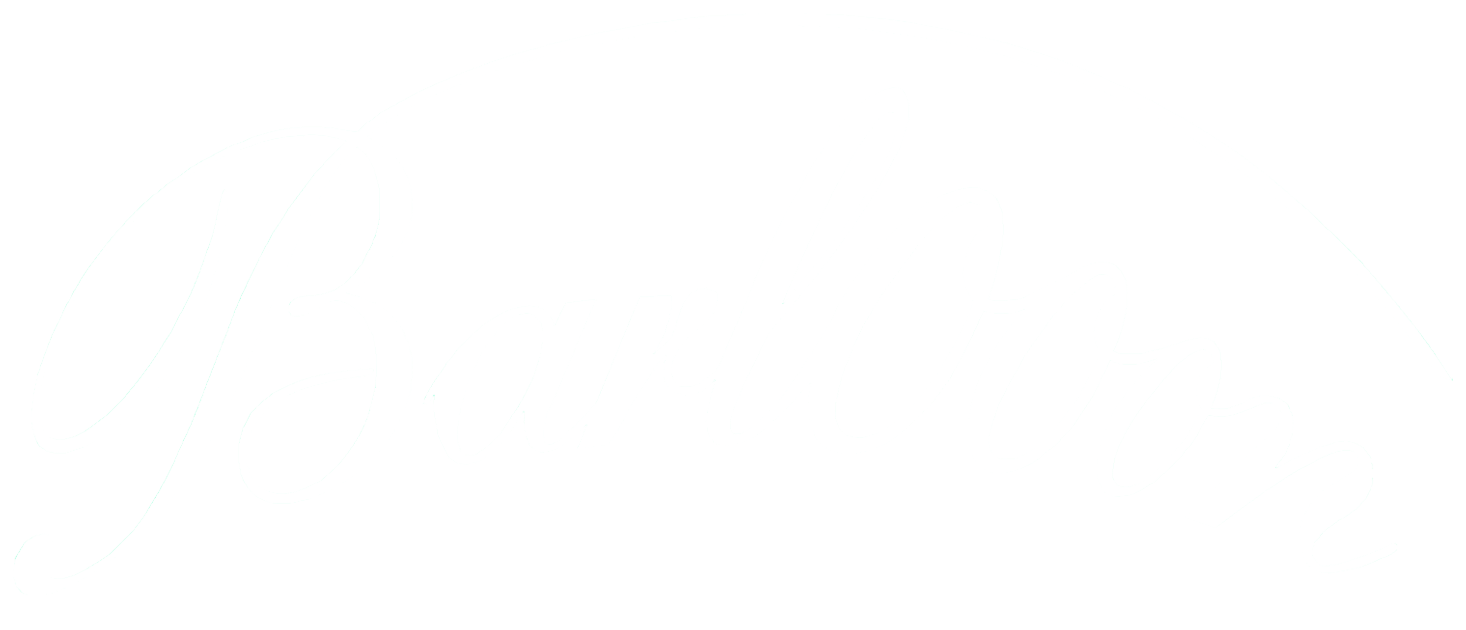Barloon-logo-reversed